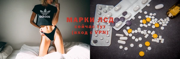 ECSTASY Богородицк