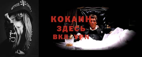 ECSTASY Богородицк