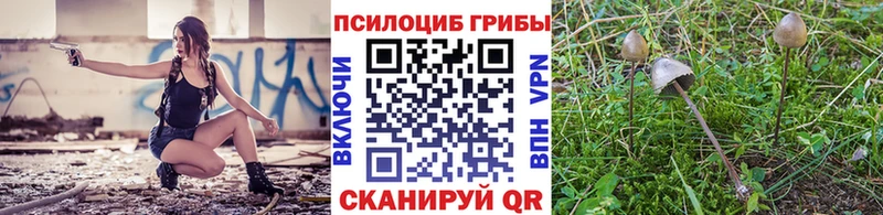 Псилоцибиновые грибы Psilocybine cubensis  Зима 