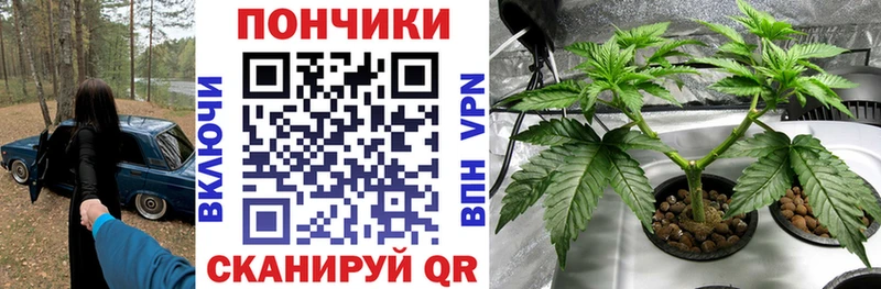 Канабис Ganja  Зима 